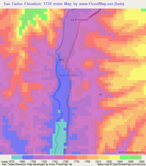 San Tadeo,Mexico Elevation Map