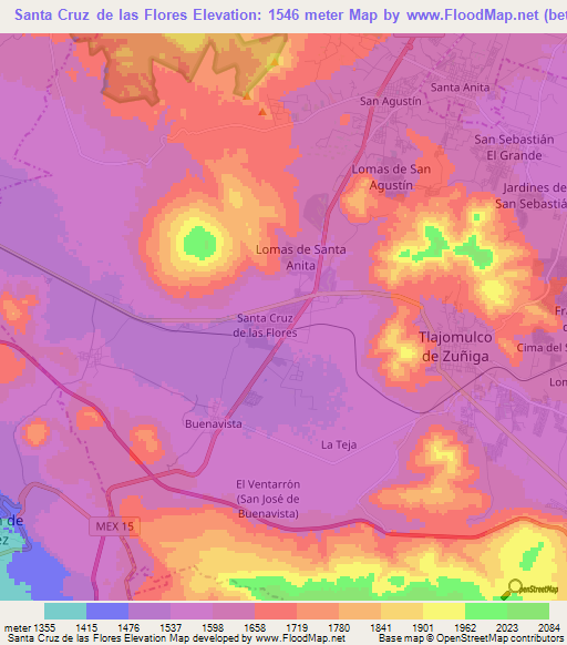 Santa Cruz de las Flores,Mexico Elevation Map