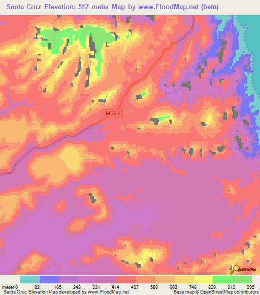 Santa Cruz,Mexico Elevation Map