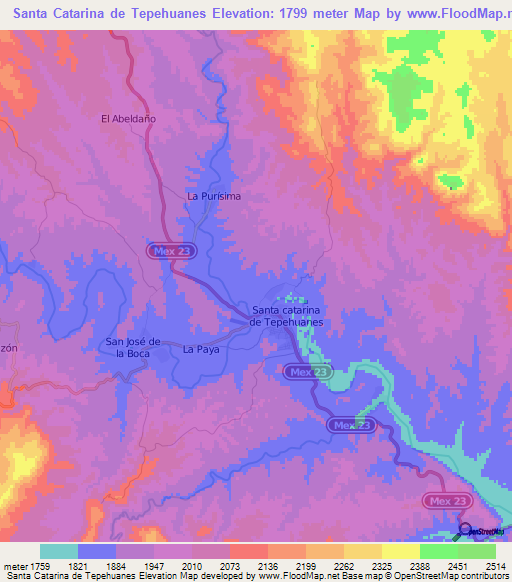 Santa Catarina de Tepehuanes,Mexico Elevation Map