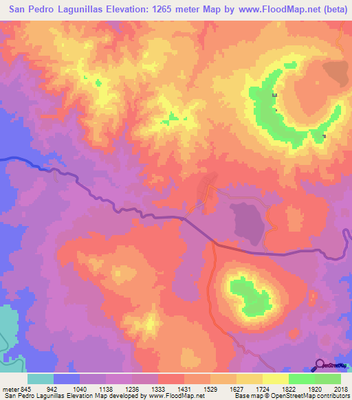 San Pedro Lagunillas,Mexico Elevation Map