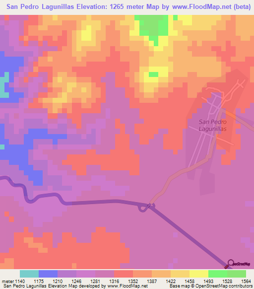 San Pedro Lagunillas,Mexico Elevation Map