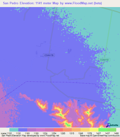 San Pedro,Mexico Elevation Map