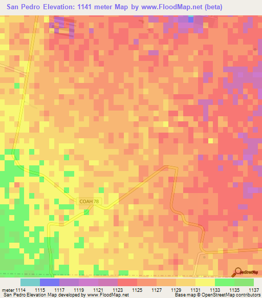 San Pedro,Mexico Elevation Map