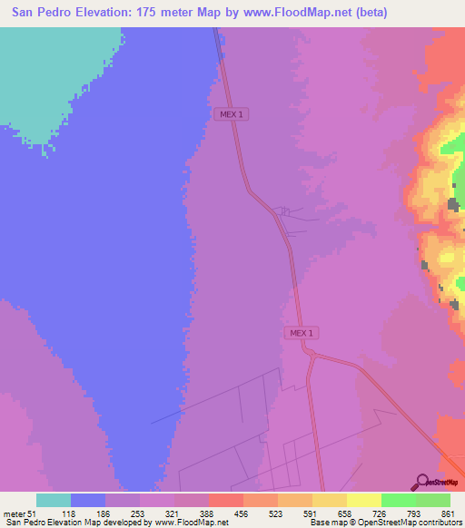 San Pedro,Mexico Elevation Map