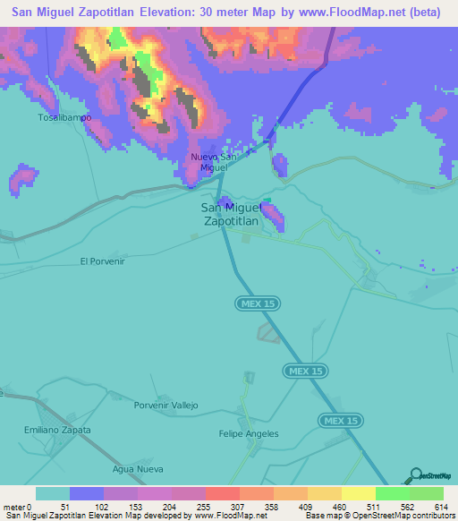 San Miguel Zapotitlan,Mexico Elevation Map