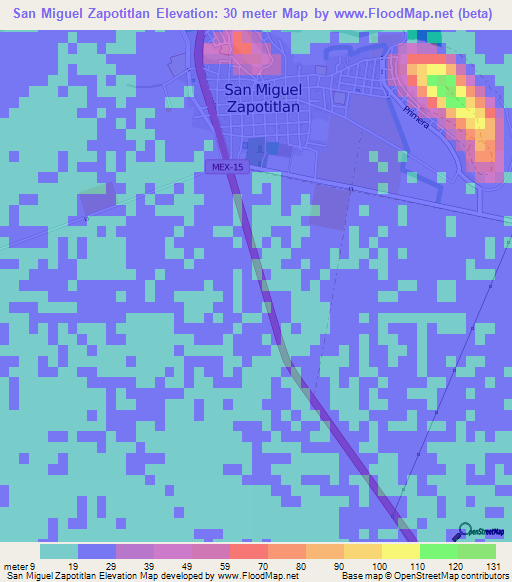 San Miguel Zapotitlan,Mexico Elevation Map