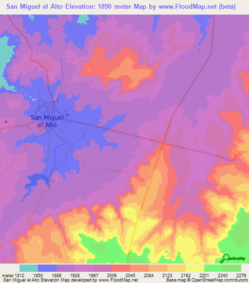 San Miguel el Alto,Mexico Elevation Map