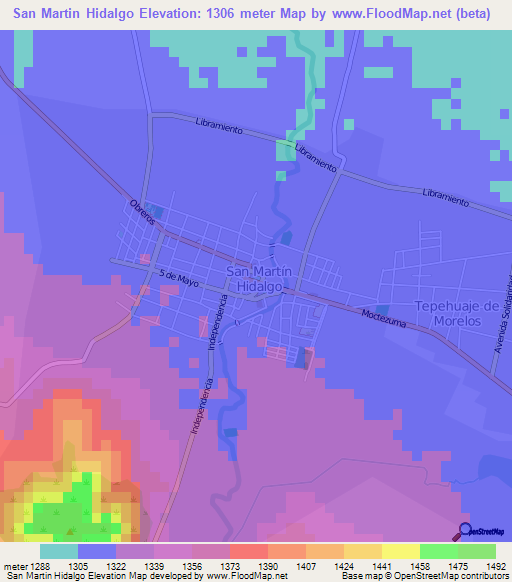 San Martin Hidalgo,Mexico Elevation Map