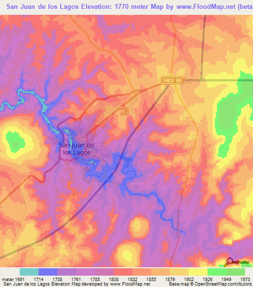 San Juan de los Lagos,Mexico Elevation Map