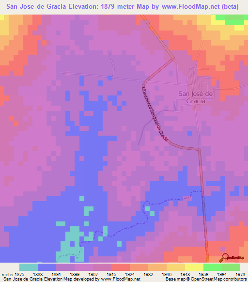 San Jose de Gracia,Mexico Elevation Map