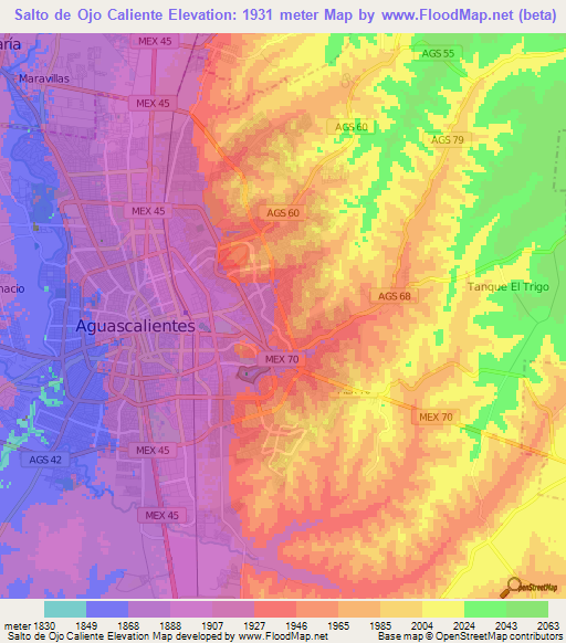 Salto de Ojo Caliente,Mexico Elevation Map