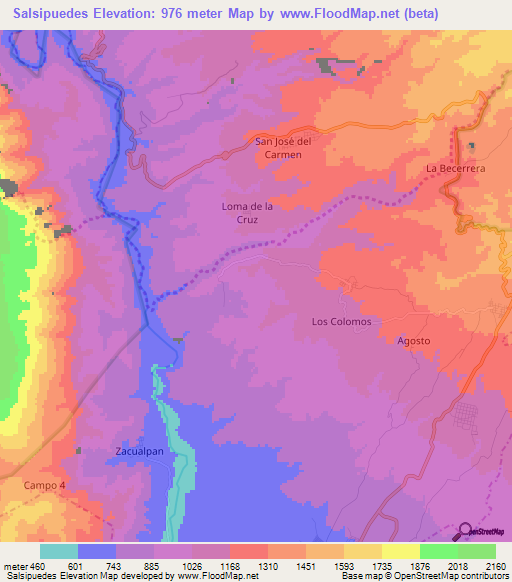 Salsipuedes,Mexico Elevation Map