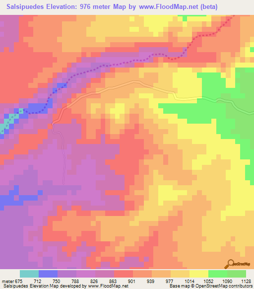 Salsipuedes,Mexico Elevation Map