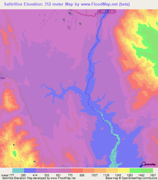 Salitrillos,Mexico Elevation Map