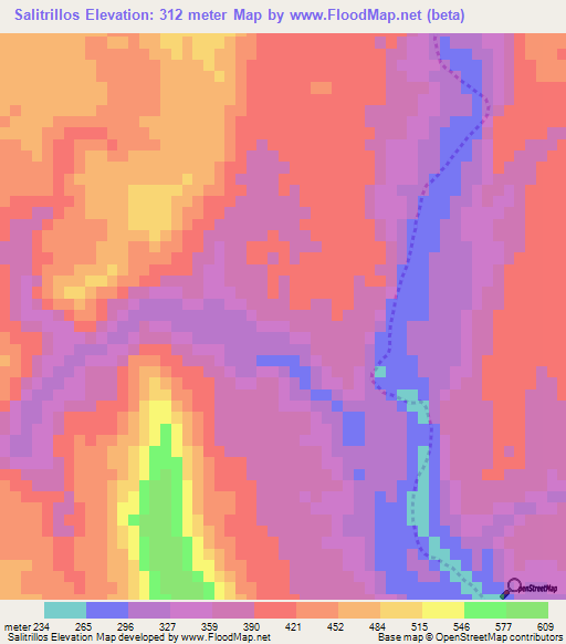 Salitrillos,Mexico Elevation Map