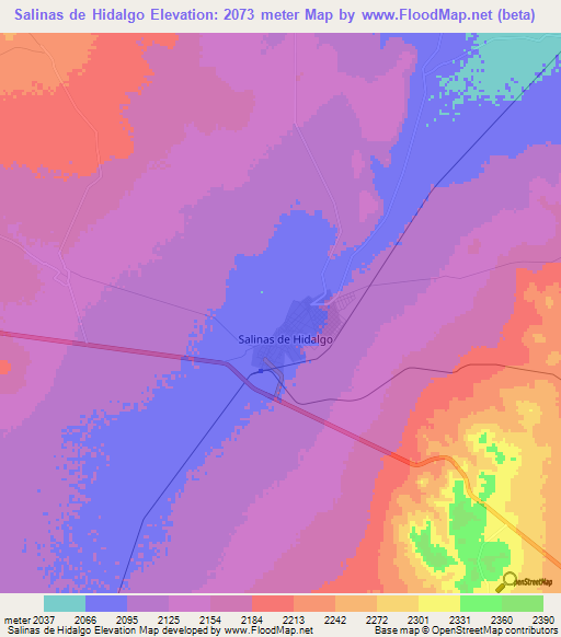 Salinas de Hidalgo,Mexico Elevation Map