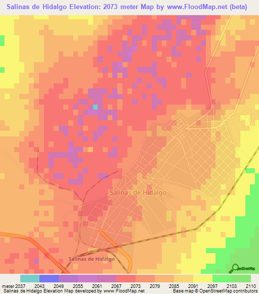 Salinas de Hidalgo,Mexico Elevation Map