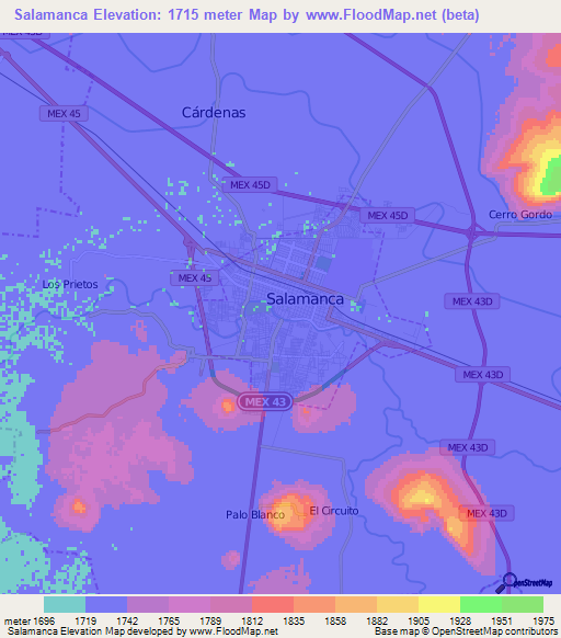 Salamanca,Mexico Elevation Map