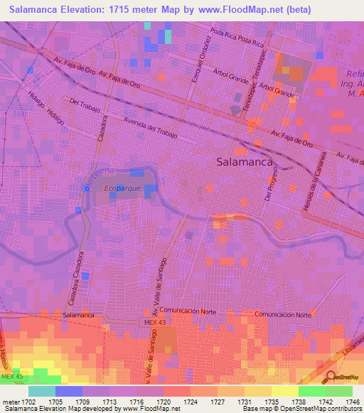 Salamanca,Mexico Elevation Map