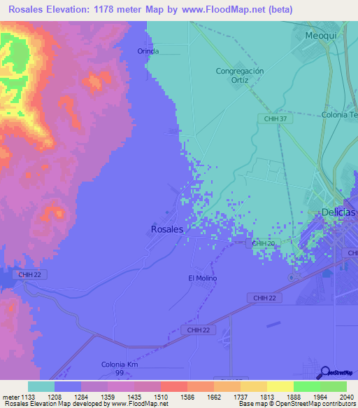 Rosales,Mexico Elevation Map