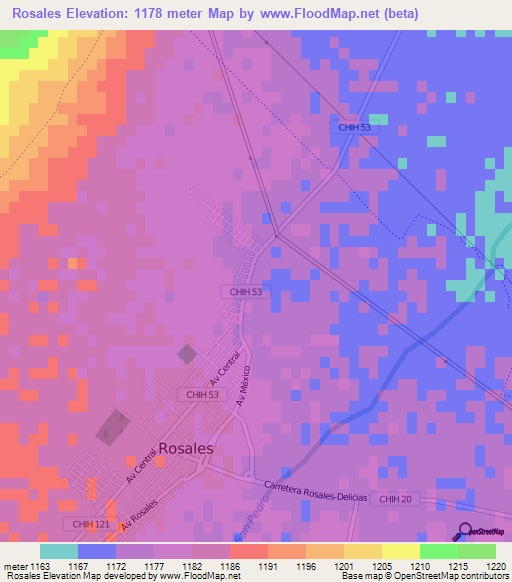 Rosales,Mexico Elevation Map