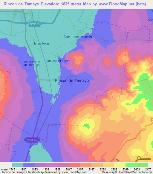 Rincon de Tamayo,Mexico Elevation Map