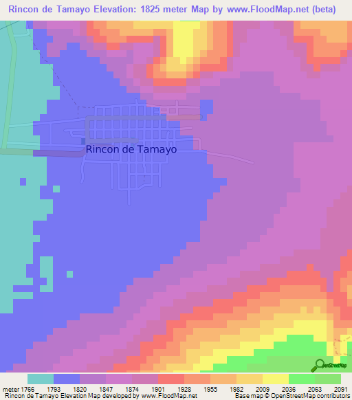 Rincon de Tamayo,Mexico Elevation Map