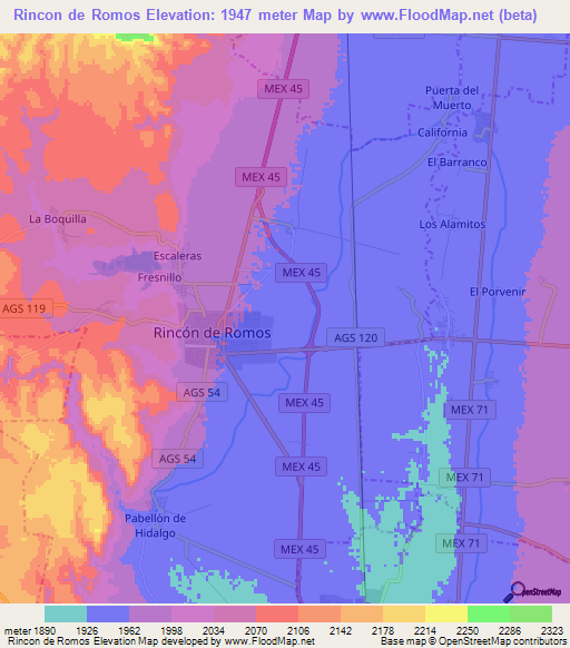 Rincon de Romos,Mexico Elevation Map