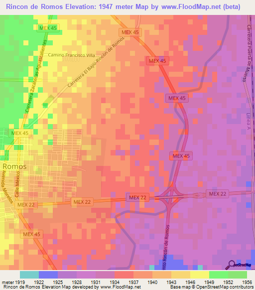 Rincon de Romos,Mexico Elevation Map