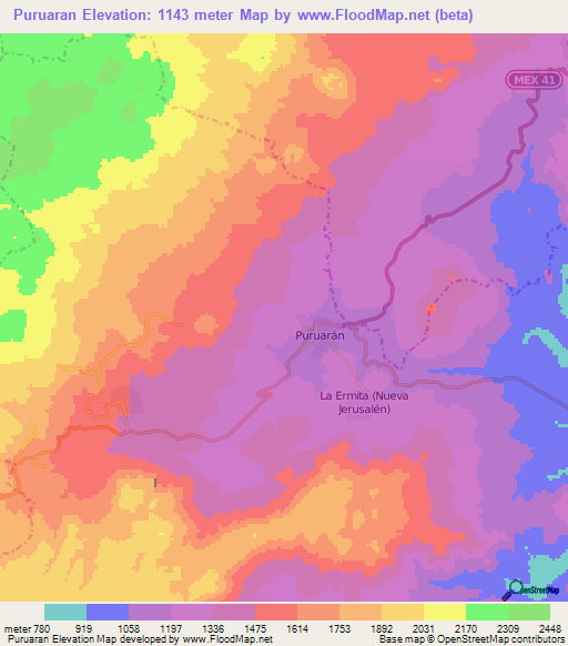 Puruaran,Mexico Elevation Map