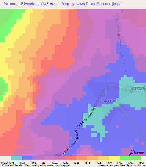 Puruaran,Mexico Elevation Map