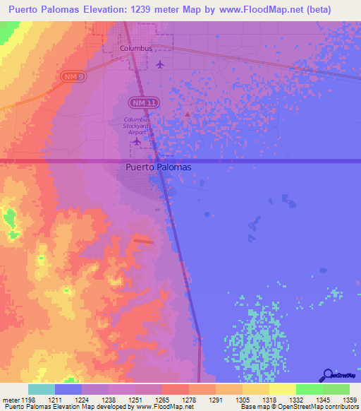 Puerto Palomas,Mexico Elevation Map