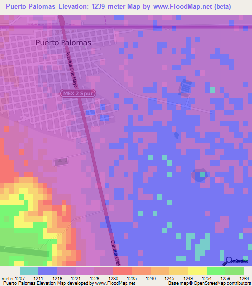 Puerto Palomas,Mexico Elevation Map