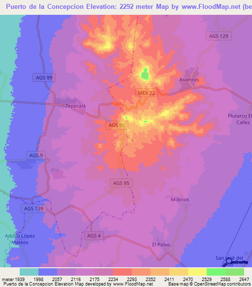 Puerto de la Concepcion,Mexico Elevation Map