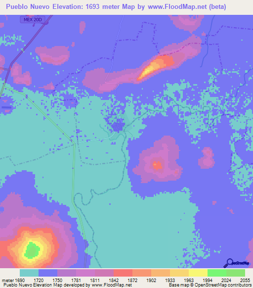 Pueblo Nuevo,Mexico Elevation Map