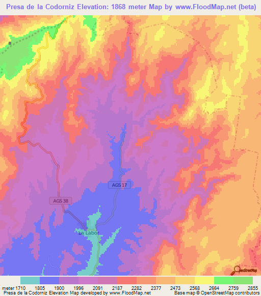 Presa de la Codorniz,Mexico Elevation Map