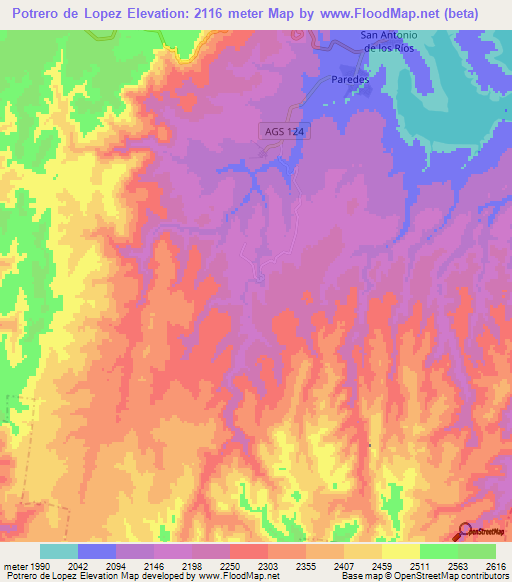 Potrero de Lopez,Mexico Elevation Map