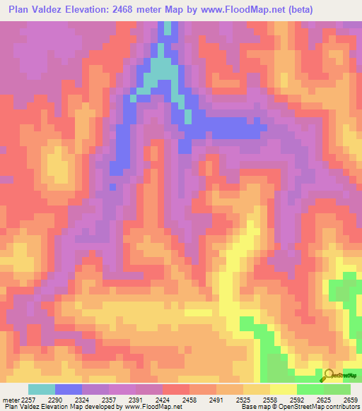 Plan Valdez,Mexico Elevation Map