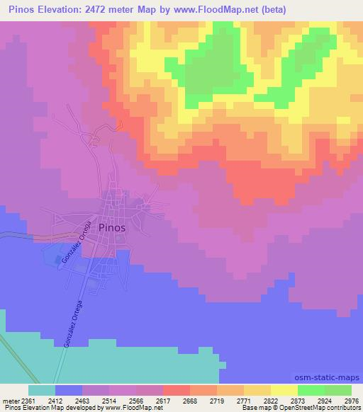 Pinos,Mexico Elevation Map