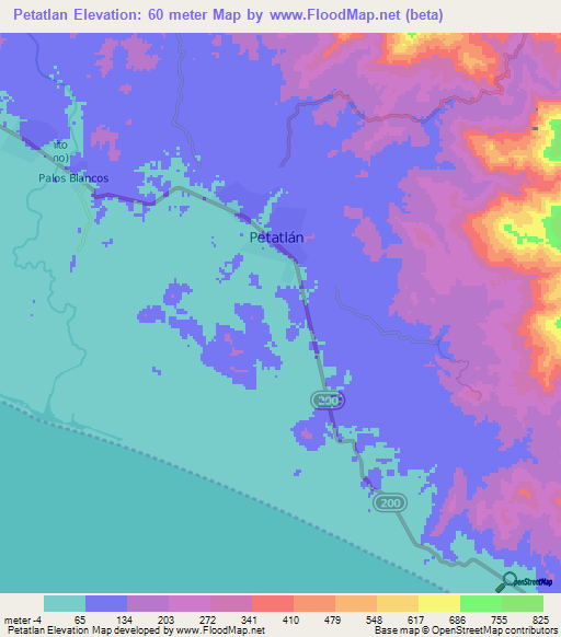 Petatlan,Mexico Elevation Map