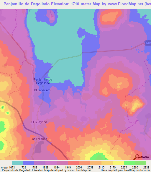 Penjamillo de Degollado,Mexico Elevation Map