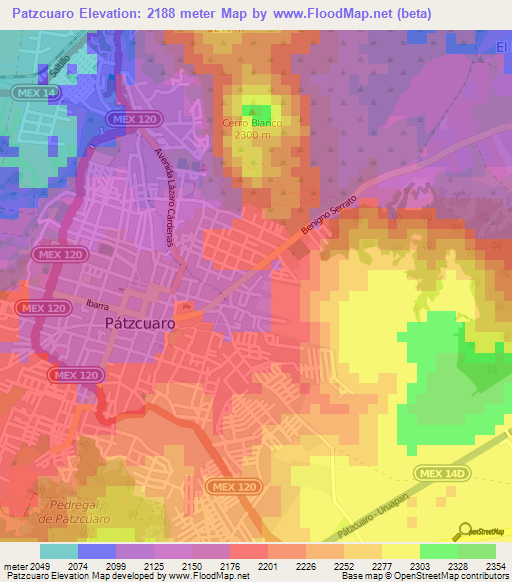 Patzcuaro,Mexico Elevation Map