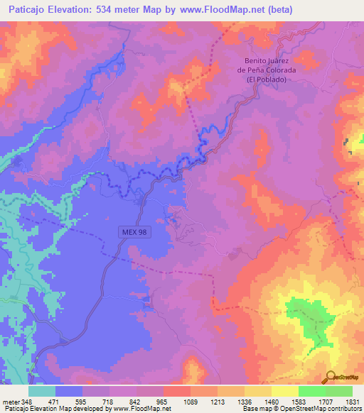 Paticajo,Mexico Elevation Map