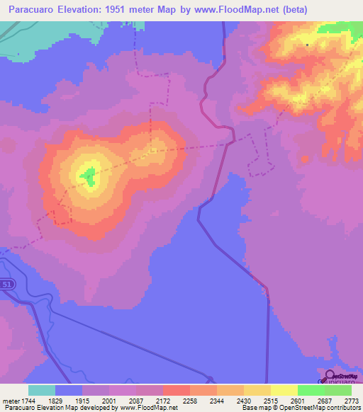 Paracuaro,Mexico Elevation Map