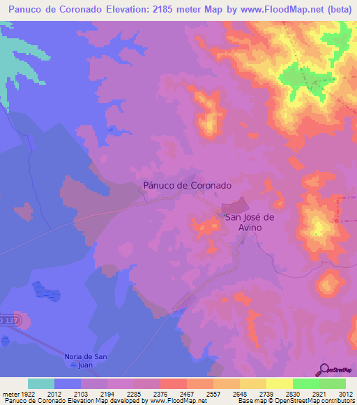 Panuco de Coronado,Mexico Elevation Map