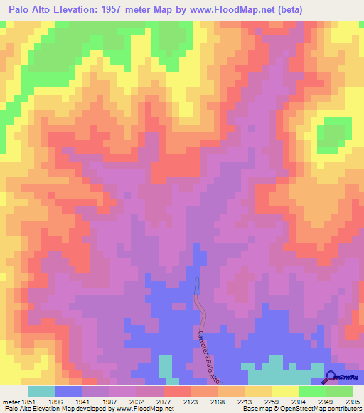 Palo Alto,Mexico Elevation Map