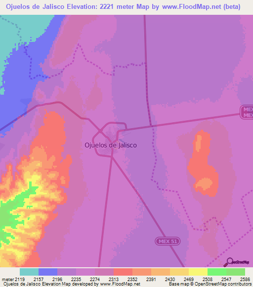 Ojuelos de Jalisco,Mexico Elevation Map