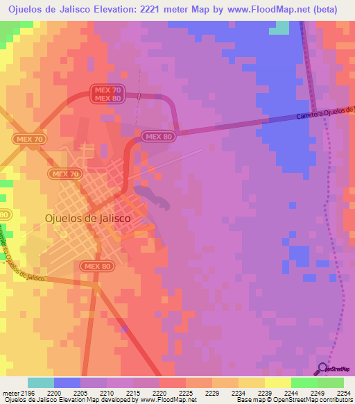 Ojuelos de Jalisco,Mexico Elevation Map