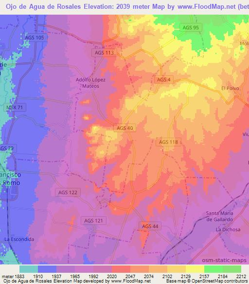 Ojo de Agua de Rosales,Mexico Elevation Map